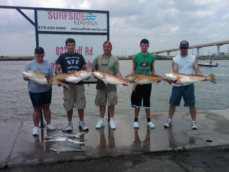 Bull Reds