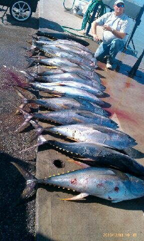 Limit of Tunas